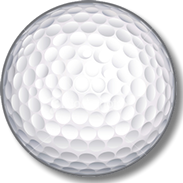 Tee Video USA golf ball. Email contact form.